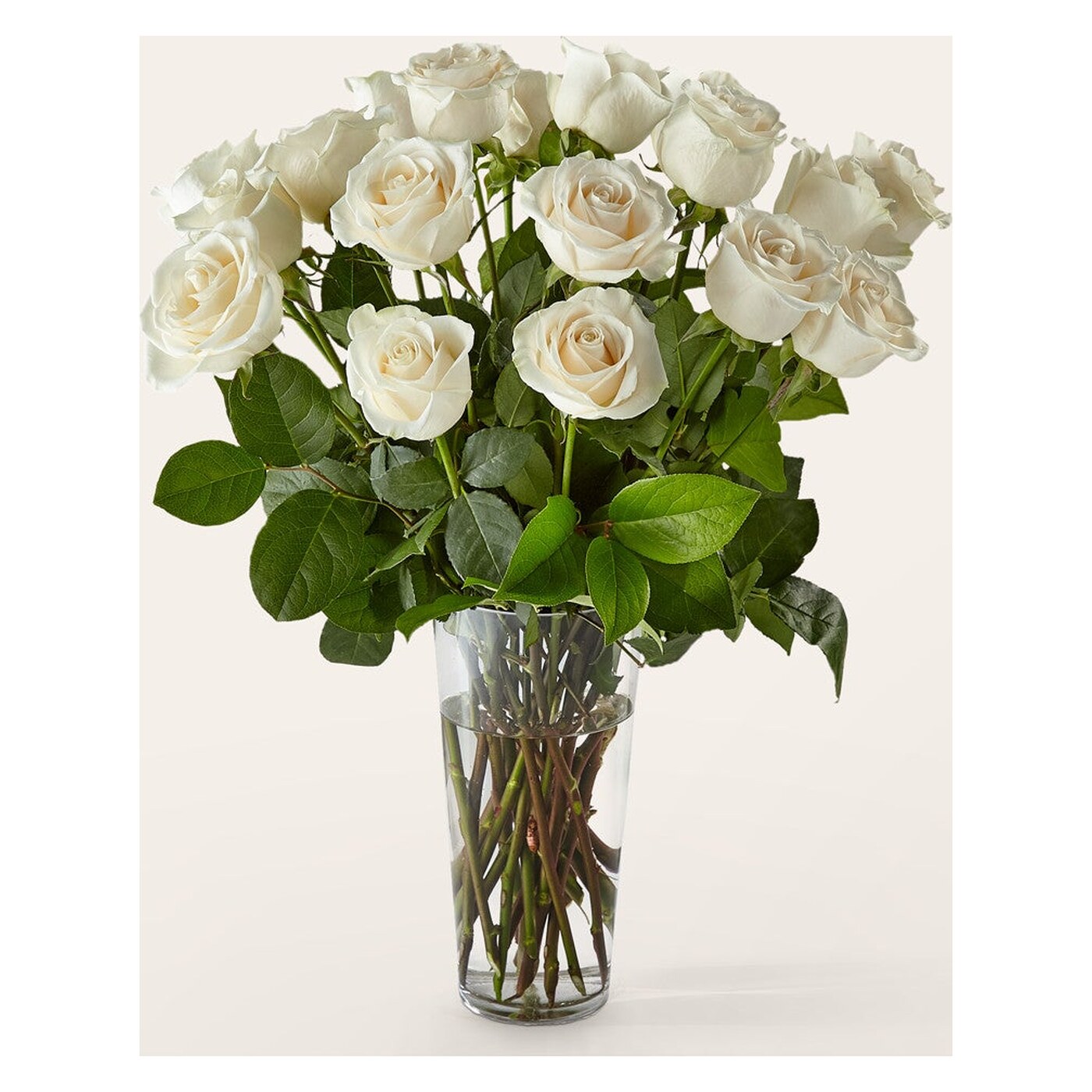 Long Stem White Rose Bouquet arrangement option 3