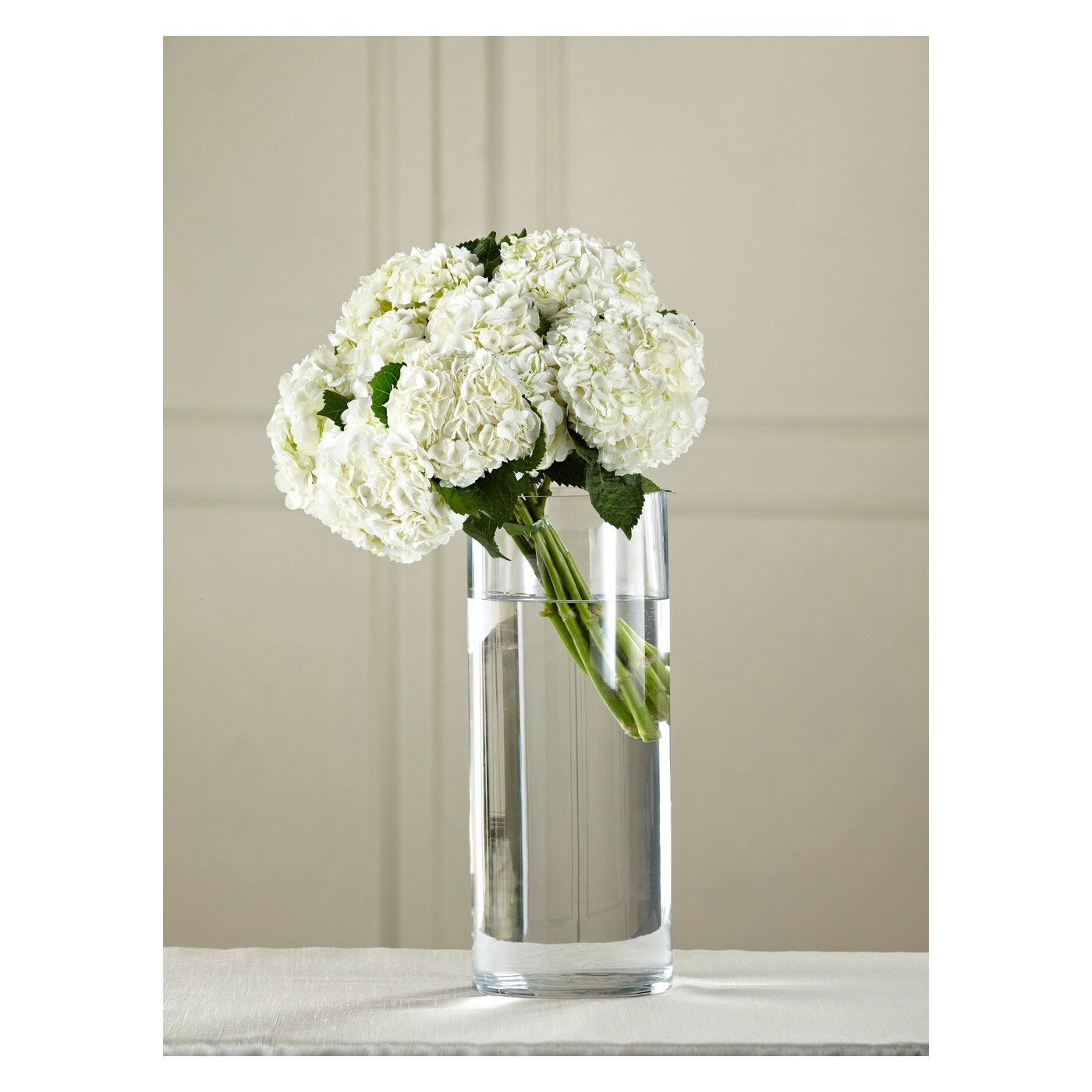 White Hydrangea Hand-Tied Bouquet flower arrangement
